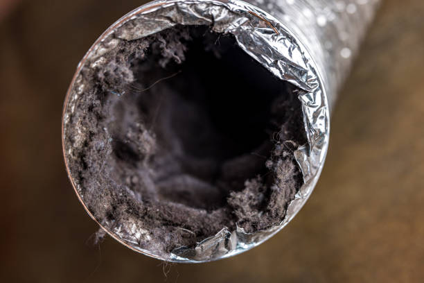Best Home Air Vent Cleaning  in Rochester, MI