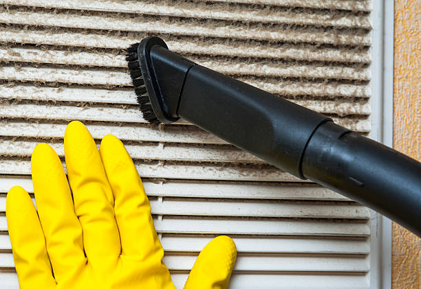 Best Affordable Duct Cleaning Services  in Rochester, MI